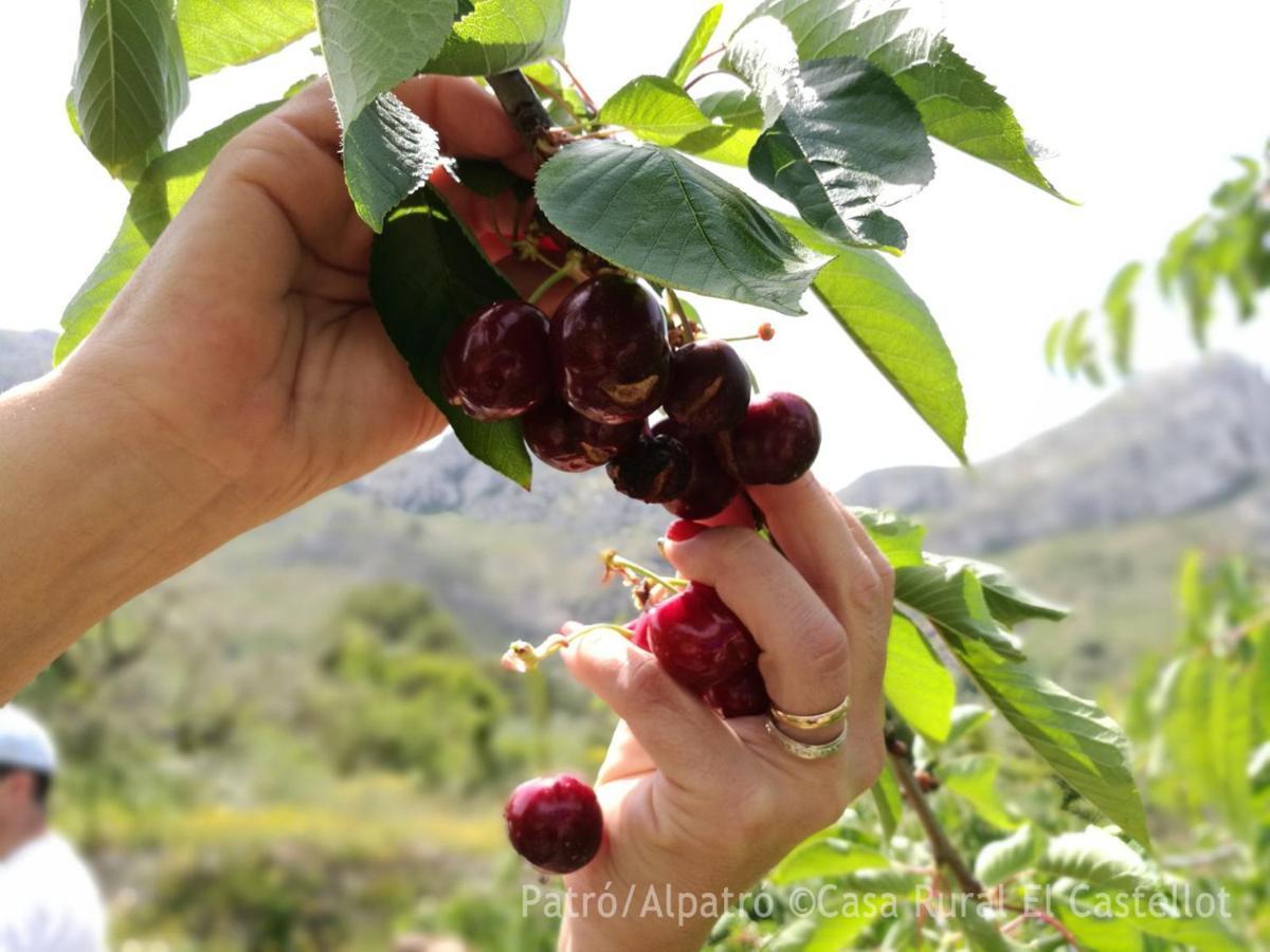 Buhardilla Rustica En La Vall De Gallinera Aparthotel Patró Kültér fotó