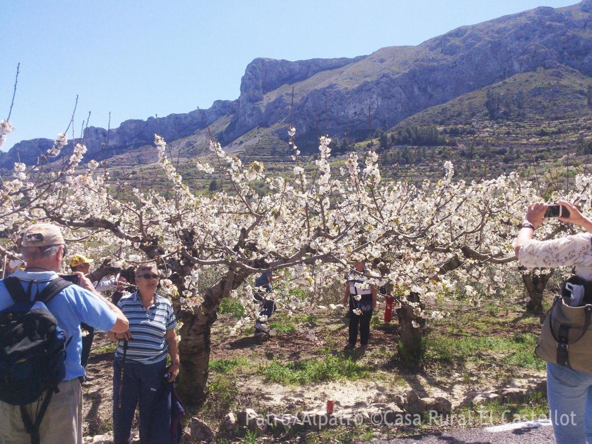 Buhardilla Rustica En La Vall De Gallinera Aparthotel Patró Kültér fotó